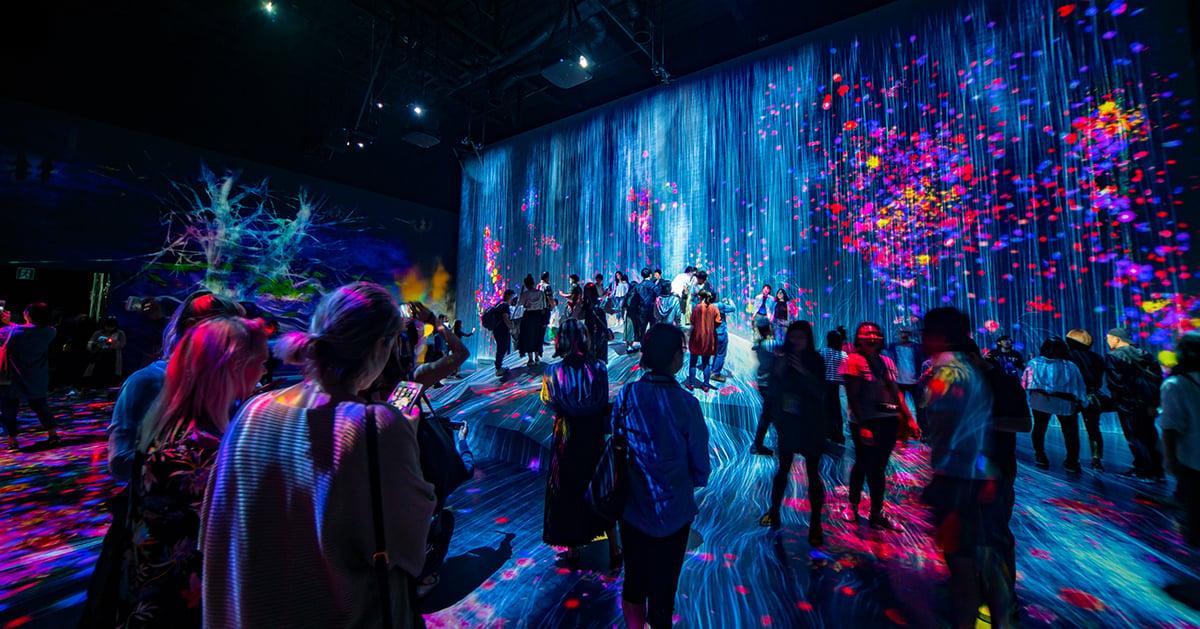 Experiencia cultural inmersiva con público, luz y participación