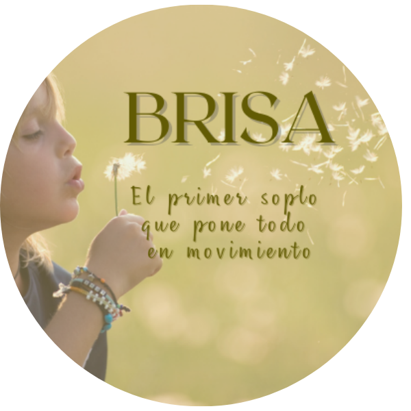 Insignia Brisa, tarjeta de Socio/a Individual
